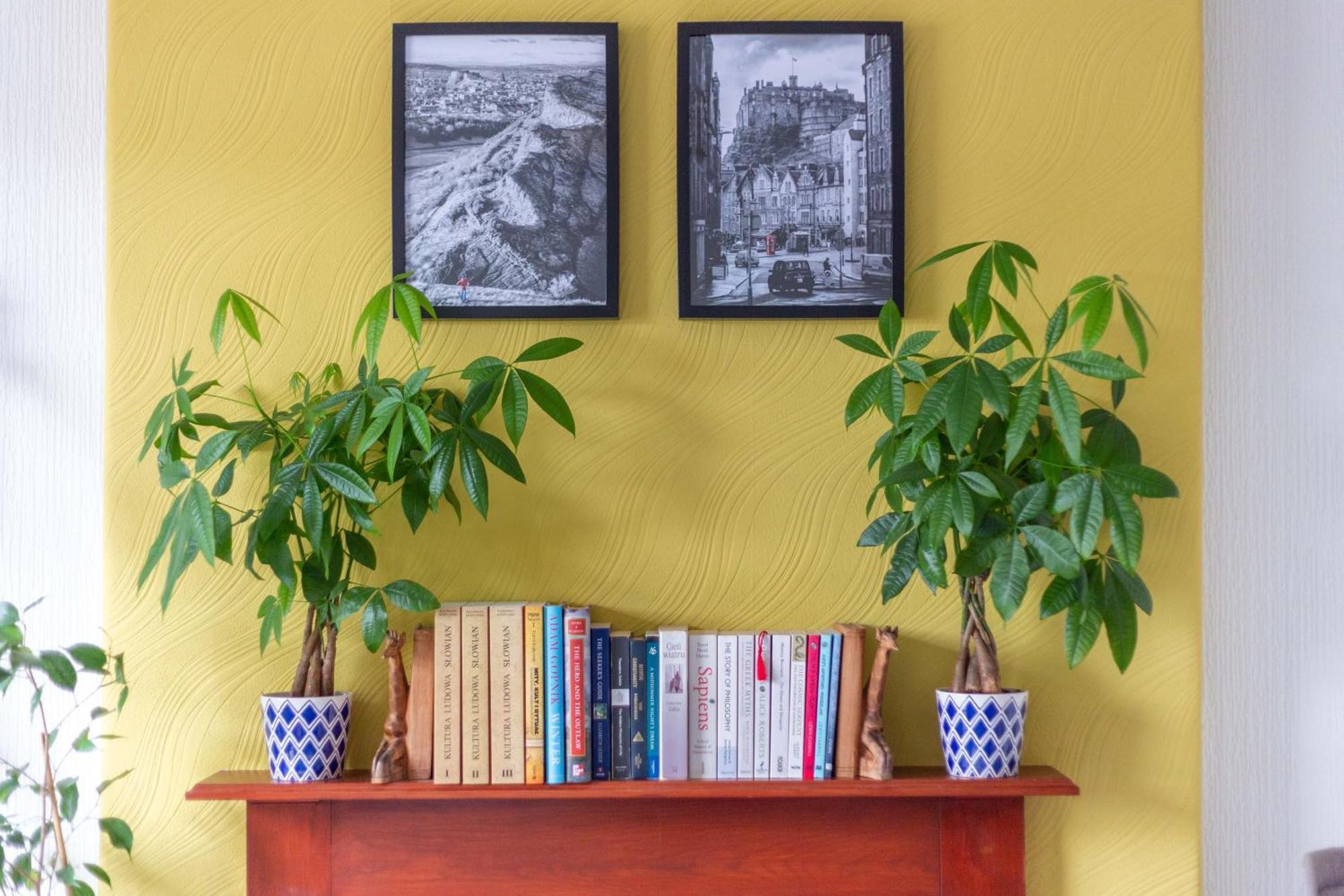 Bright & Spacious Double Room With Garden View- Close To Airport & City Centre EDI Buitenkant foto